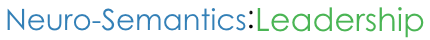 Neuro-Semantics Leadership