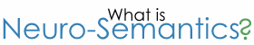 What is Neuro-Semantics